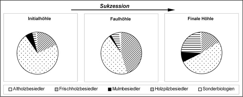 Verteilung Käfergruppen auf Substratgilden