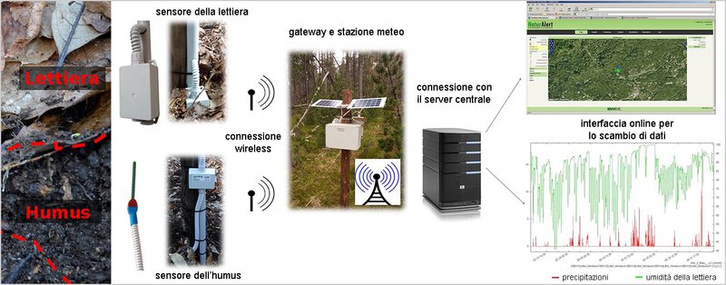 I componenti della rete FireLess2