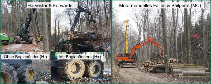 Harvester & Forwarder mit und ohne Boogiebändern