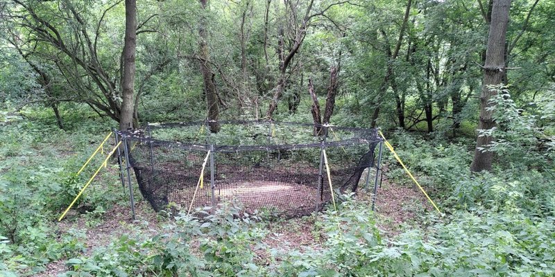 Fangnetz "PigBrig" für Schwarzwild