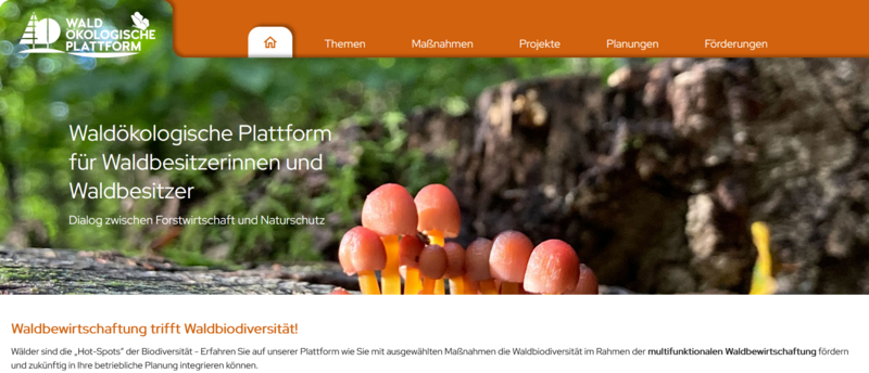 Screenshot der Wissensplattform mit einem Bild von Pilzen im Herobild.