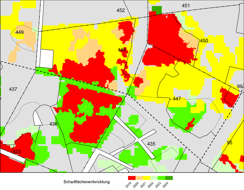Schadflächendetektion im Verlauf der Jahre