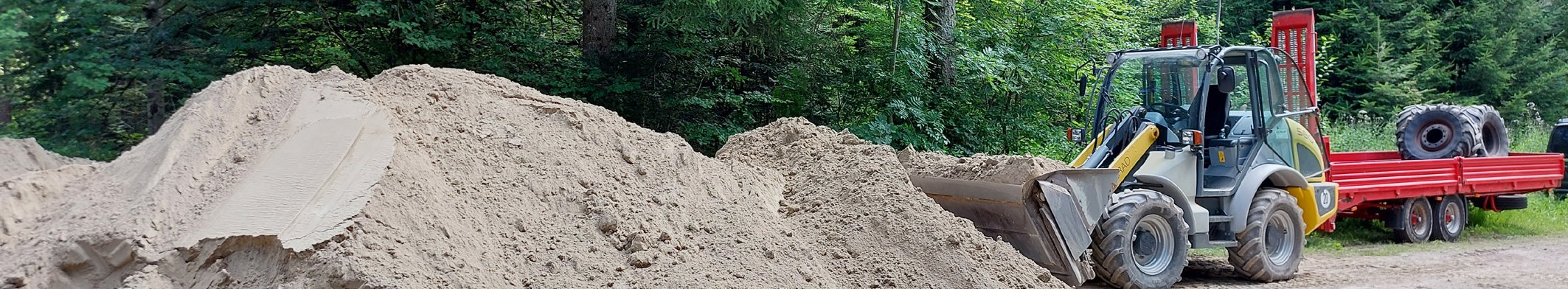 Dolomitgesteinsmehl wird zur Regeneration versauerter Waldböden eingesetzt. Auch bei Bodenhilfsstoffen und Düngemitteln gilt: Auswahl und Dosierung müssen an den jeweiligen Standort angepasst werden.