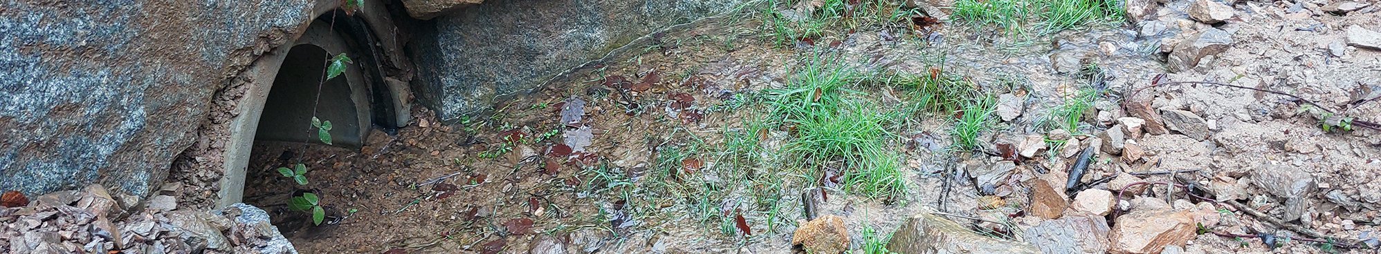 Zu gering dimensionierte oder verstopfte Rohrdurchlässe können bei hohen Abflüssen zu Erosionsschäden im Ein- und Auslaufbereich führen. (Foto: FVA BW/Schmid)