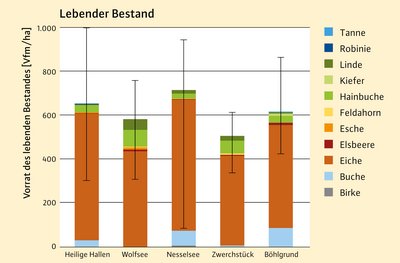 Balkendiagram