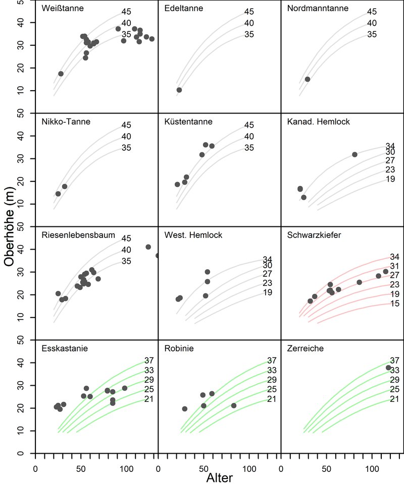 Die Oberhöhe verschiedener Baumarten im Verhältnis zu ihrem Alter im Vergleich, in Wachstumskurven.