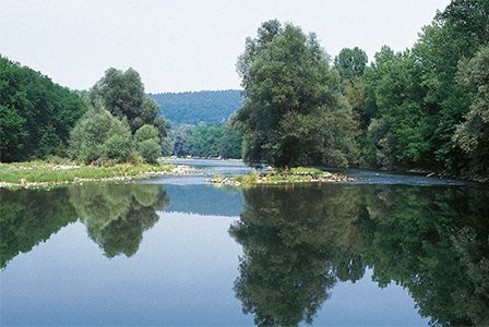 Zone alluviale de Suisse