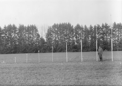 Messstangen auf freiem Feld in einer Reihe, dahinter Fichtenwald
