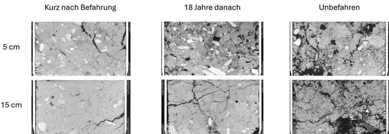 CT- Scans die die Bodenstruktur kurz nach der Befahrung, 18 Jahre oder im Vergleich bei unbefahrenem Boden zeigen. In jeweils einer Tiefe von 5 und 15 cm.