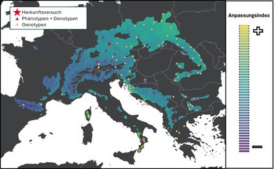 Karte, die Mitteleuropa zeigt. Verschiedene Herkunftsversuche sind eingezichnet