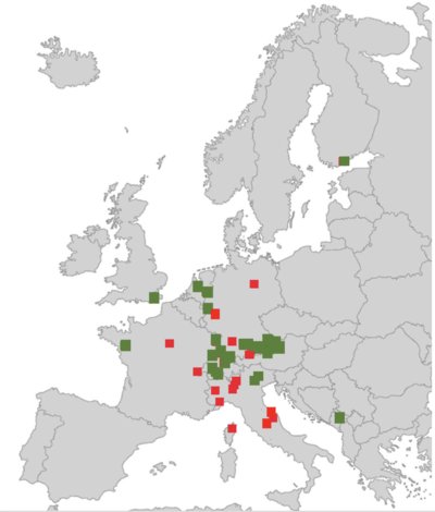  outdoor ALB infestations in Europe