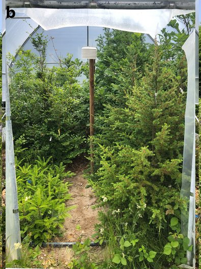 Standort Appes Gewächshaus