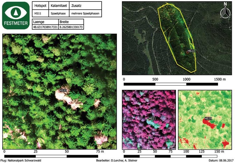 Für jeden Hotspot erfolgte eine Darstellung: Einschätzung des Befallszustandes, Angabe der Koordinaten und Lage im Bestand