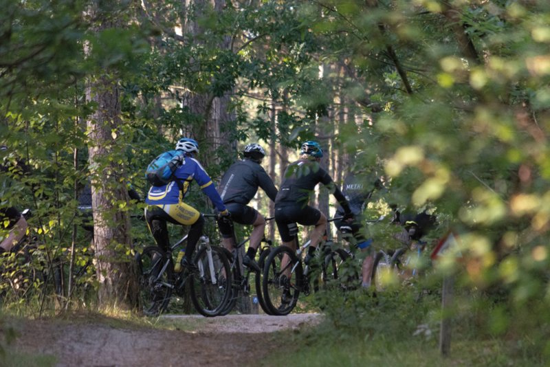 Drei Mountainbiker fahren im Wald
