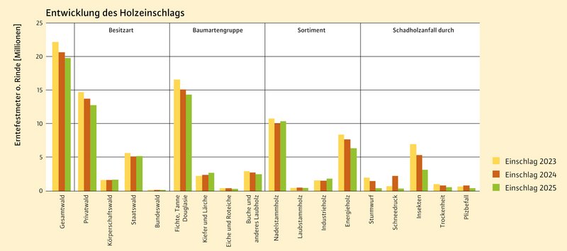 Balkendiagramm zur Entwicklung des Holzeinschlags von 2023 bis 2025. Dargestellt sind die Einschlagmengen nach Besitzart, Baumartengruppe und Sortiment sowie der Schadholzanfall nach Schadursache. Der Gesamteinschlag sinkt von rund 22 auf 20 Millionen Erntefestmeter ohne Rinde.