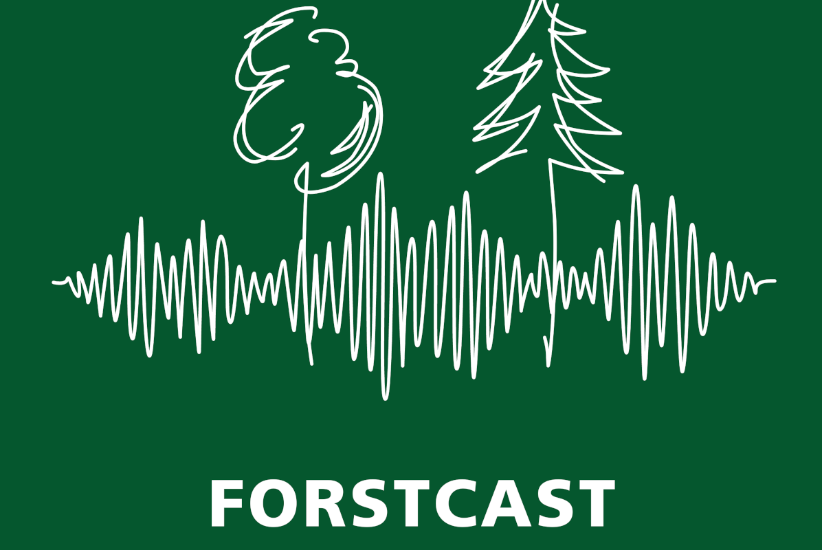 Forstcast-Logo