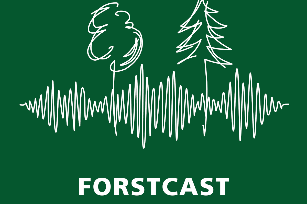 Forstcast – Waldwissen zum Hören 1 Forstcast – Waldwissen zum Hören