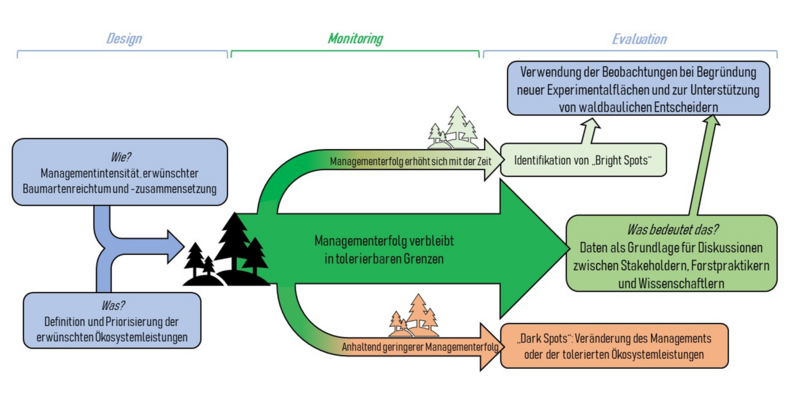 Mit Experimenten lernen