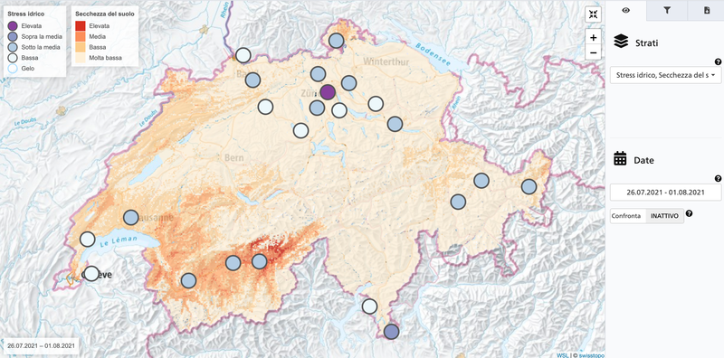 Schermata dell'applicazione FORTE