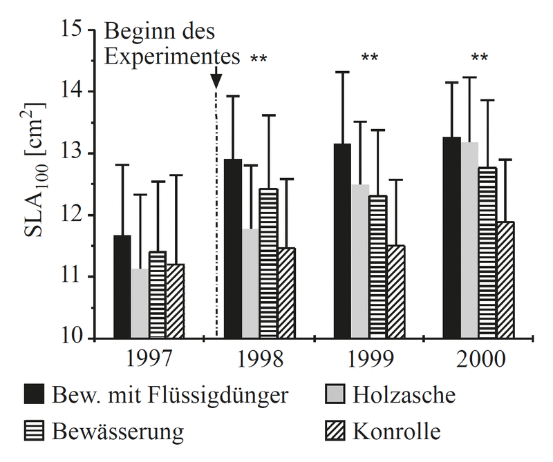 Ergebnis-Tabelle