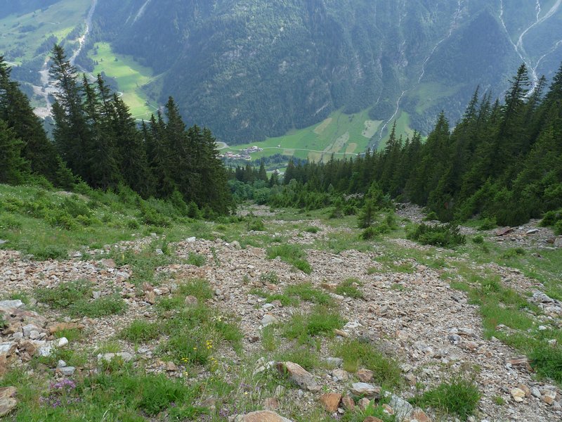 Avalanche track in the Bernese Alps