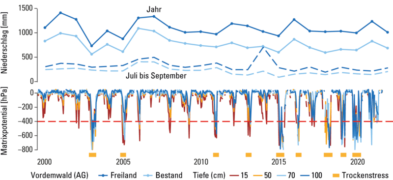 Grafik Klimarelevante Wasserflüsse auf ausgewählten LWF-Flächen
