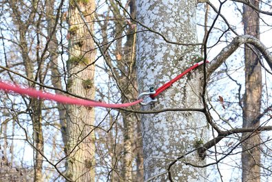 Am Baum befestigtes Seil hängt locker in der Luft