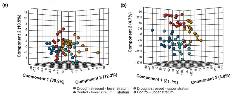 Score plots of a partial least squares discriminant analysis 