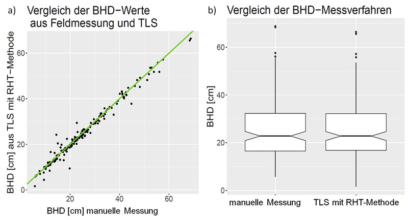 Vergleich der BHD-Werte aus manueller Messung und TLS-Daten