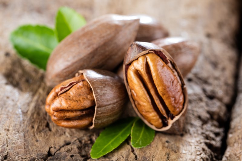 braune, nierenförmige Nüsse