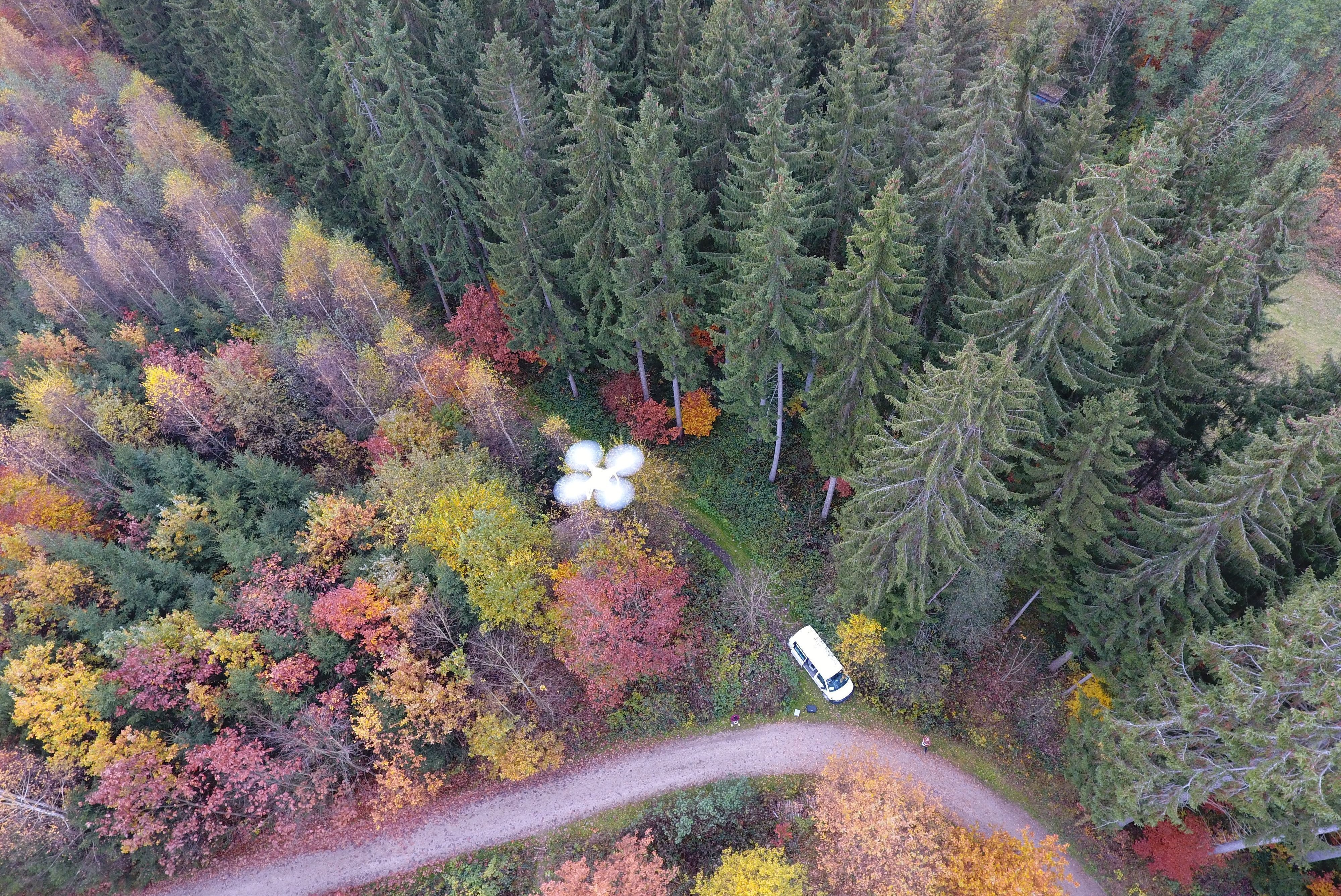 Luftbild eines Waldes