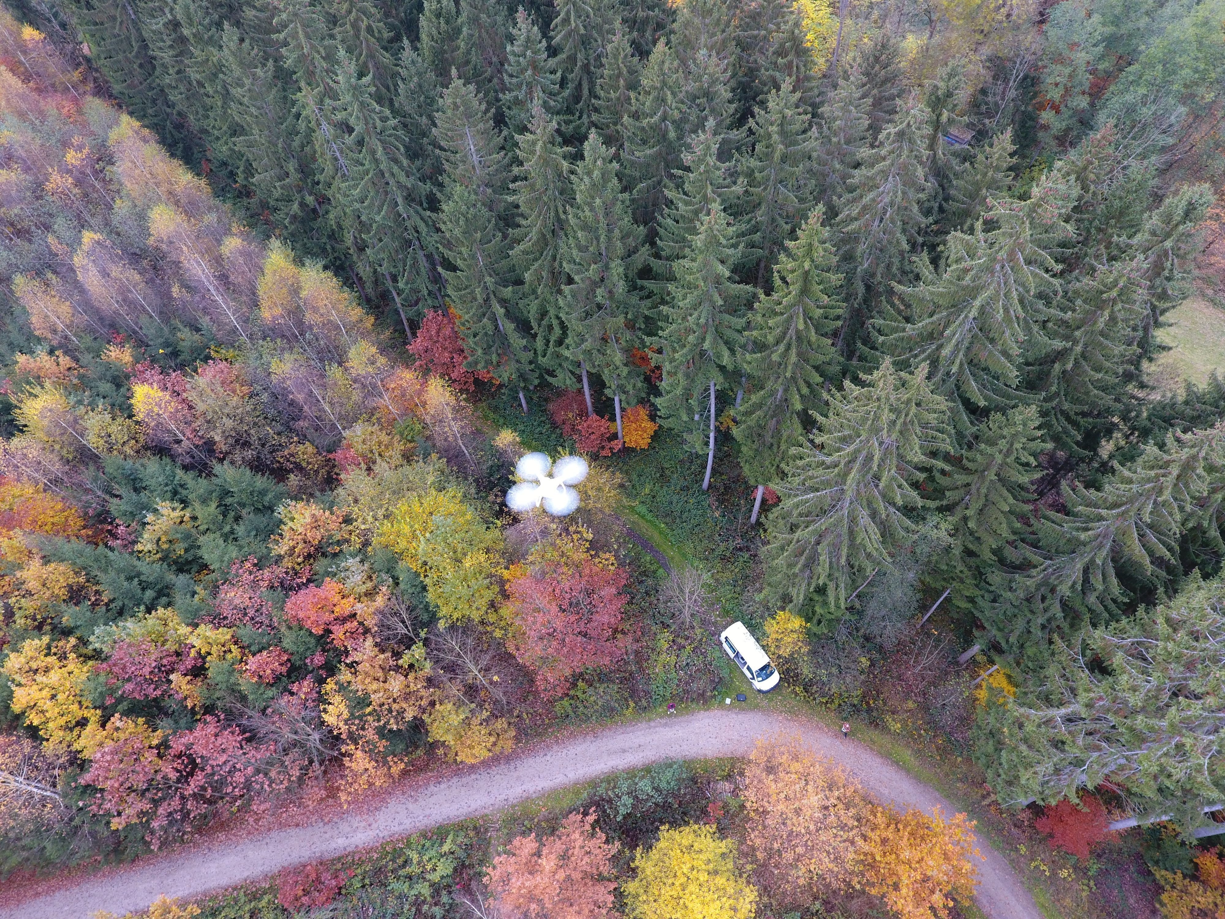 Vitalitätsmonitoring mit Drohnen 1 Vitalitätsmonitoring mit Drohnen