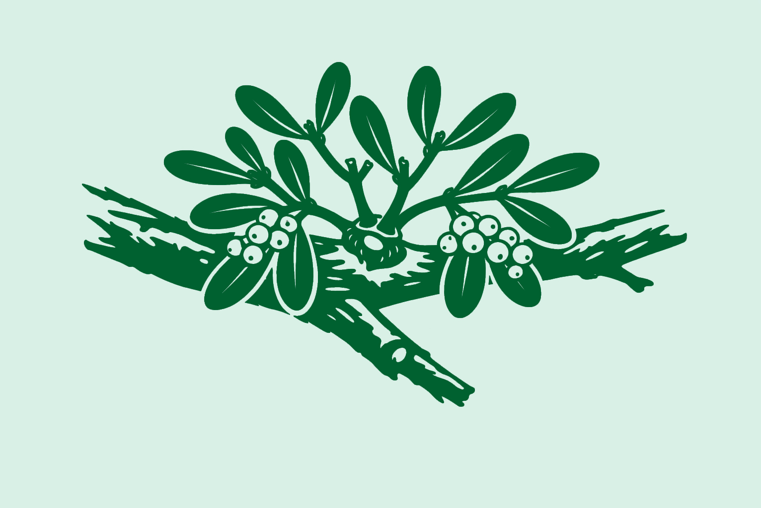 Piktogramm einer Mistel