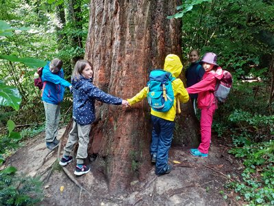 Kinder umarmen einen dicken Baum