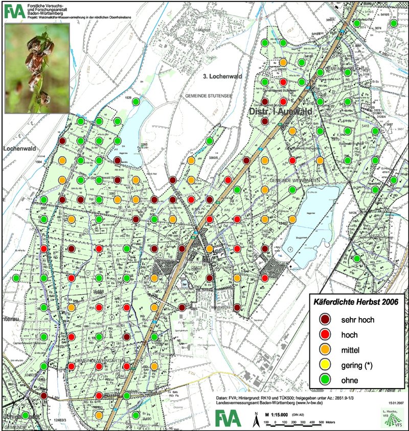 Waldmaikäfer Monitoring und Flugprognose anhand von Probegrabungen nach Entwicklungsstadien im Boden