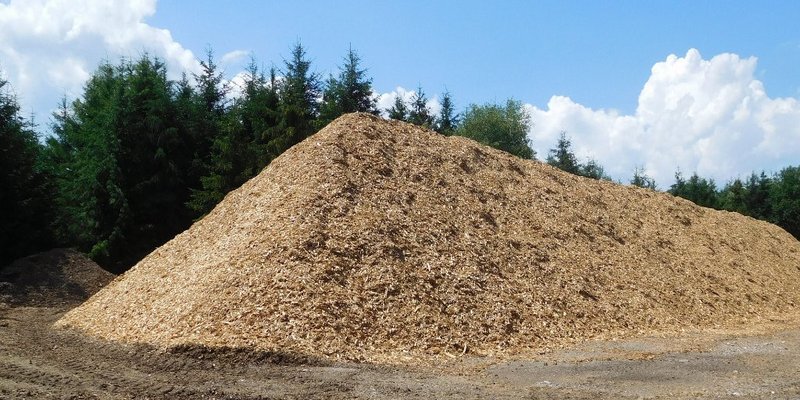 Dachprofilartig aufgeschütteter Holzhackschnitzelhaufen