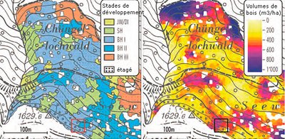 Cartes : stades de développement et volumes de bois
