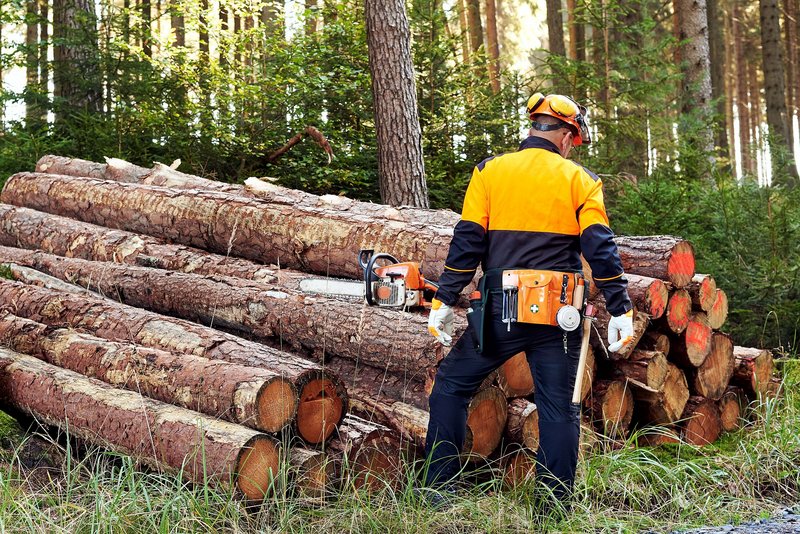 Die Bewirtschaftung und Holzernte im Kleinprivatwald stellen Waldbesitzer vor besondere wirtschaftliche und organisatorische Herausforderungen.