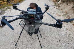 Drohne auf einem Forstweg