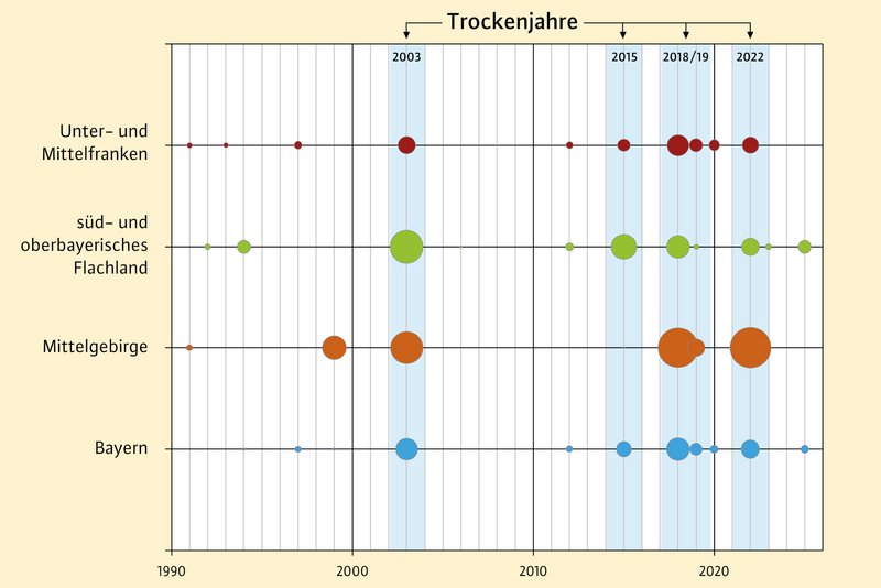 Grafik