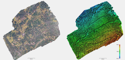 Orthophotomosaic (left) and digital surface model (right) of one test site