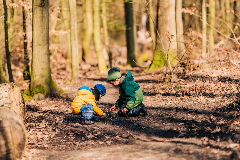 Immer mehr Kindergärten sind regelmäßig im Wald unterwegs