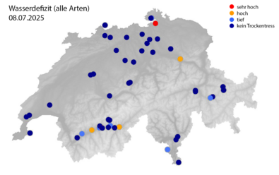 Grafik Wasserdefizit