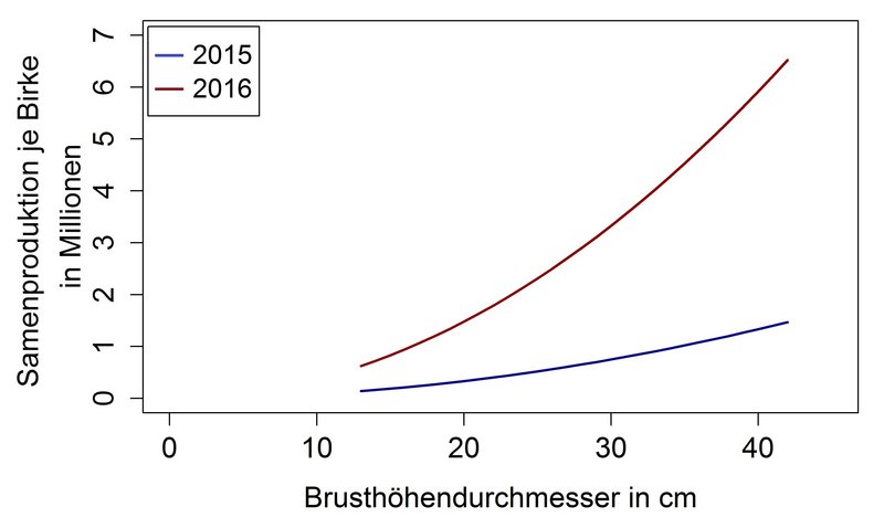 Liniendiagramm zur Samenproduktion je Birke in Abhängigkeit vom Brusthöhendurchmesser (BHD). Auf der x-Achse ist der Brusthöhendurchmesser in Zentimetern (ca. 13–42 cm) dargestellt, auf der y-Achse die Samenproduktion je Birke in Millionen Samen. Zwei Kurven vergleichen die Jahre 2015 (blau) und 2016 (rot). In beiden Jahren steigt die Samenproduktion mit zunehmendem Brusthöhendurchmesser an. Die Werte des Jahres 2016 liegen dabei deutlich über denen von 2015 und nehmen stärker zu. Bei einem BHD von etwa 13 cm beträgt die Samenproduktion rund 0,1 Millionen Samen im Jahr 2015 und etwa 0,6 Millionen Samen im Jahr 2016. Bei einem BHD von etwa 42 cm steigt sie auf rund 1,5 Millionen Samen (2015) beziehungsweise etwa 6,5 Millionen Samen (2016). Die Kurven verdeutlichen einen positiven Zusammenhang zwischen Baumdurchmesser und Samenproduktion sowie eine erheblich höhere Samenproduktion im Jahr 2016.