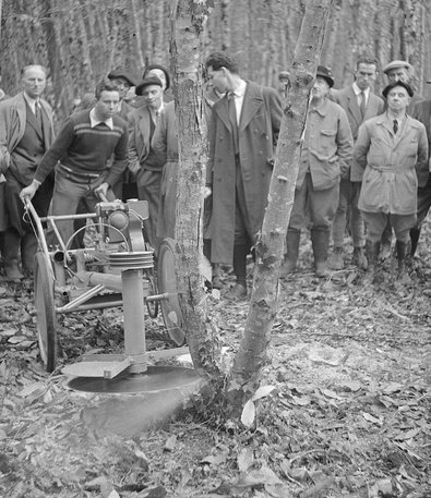 Vorführung der Motor-Kreissäge “La Canpenette”