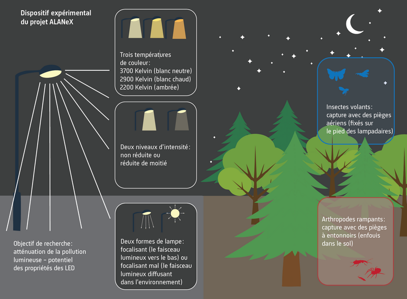 Dispositif expérimental du projet ALANeX