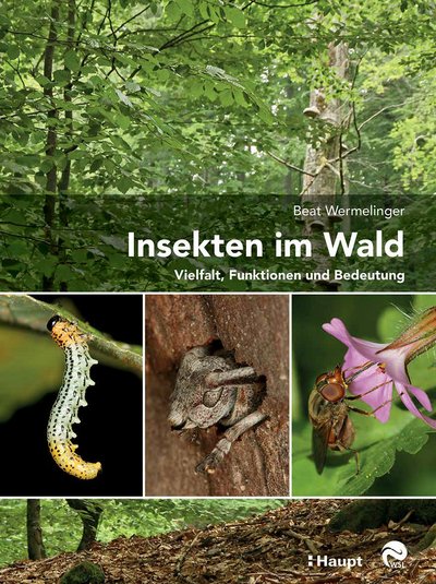 Buchdeckel "Insekten im Wald"