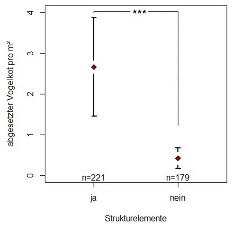 Die Grafik zeigt einen Vergleich der mittleren Dichte von abgesetztem Vogelkot pro Quadratmeter zwischen Flächen mit und ohne Strukturelemente. Auf der x-Achse sind die Kategorien „ja“ (mit Strukturelementen) und „nein“ (ohne Strukturelemente) dargestellt, auf der y-Achse die Anzahl der Vogelkotablagerungen pro Quadratmeter. Für Flächen mit Strukturelementen liegt der Mittelwert bei etwa 2,6 Kotablagerungen pro Quadratmeter, für Flächen ohne Strukturelemente bei etwa 0,4. Die Mittelwerte sind als rote Rauten dargestellt, die vertikalen Fehlerbalken zeigen die Streuung der Werte. Die Stichprobengrößen betragen n = 221 für Flächen mit Strukturelementen und n = 179 für Flächen ohne Strukturelemente. Ein mit drei Sternen (***) gekennzeichneter Signifikanzbalken über den beiden Gruppen weist auf einen hochsignifikanten Unterschied hin. Die Grafik verdeutlicht, dass auf Flächen mit Strukturelementen deutlich mehr Vogelkot nachgewiesen wurde als auf strukturlosen Freiflächen.