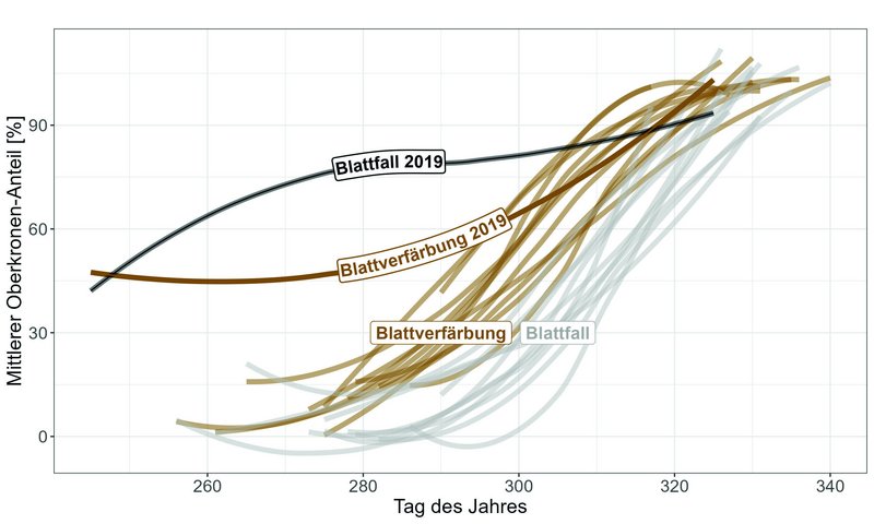 Grafik
