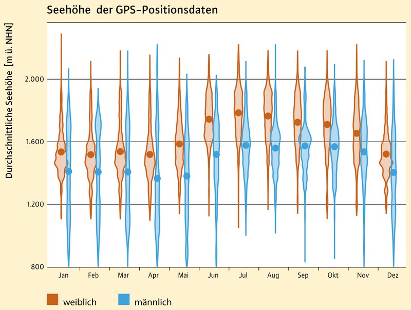 Grafik